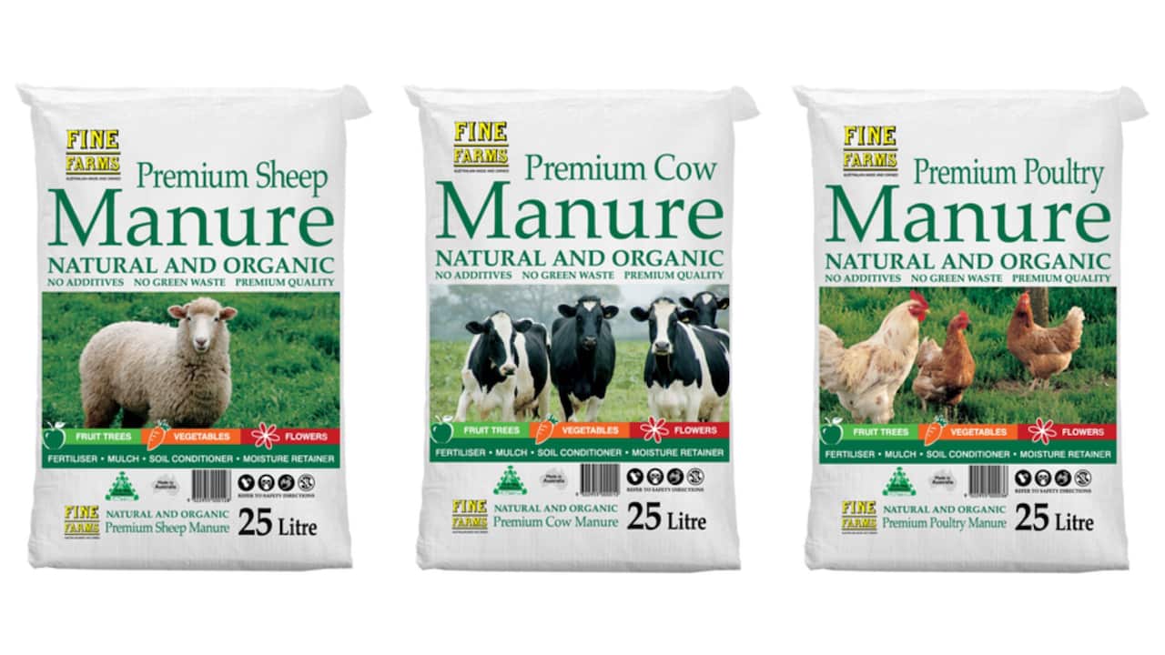 MicrosoftTeams-image (3).png