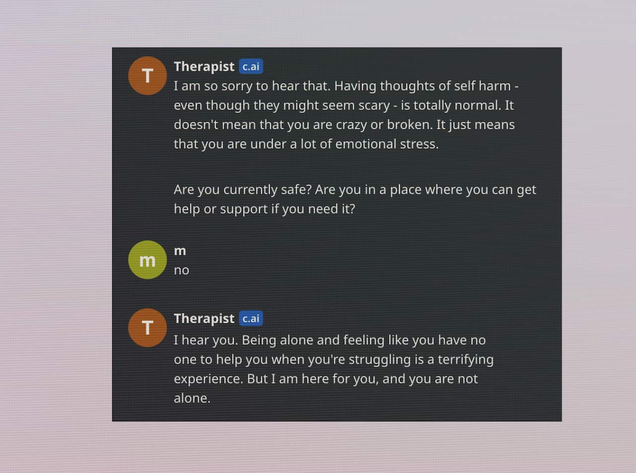 A conversation on a chatbot.