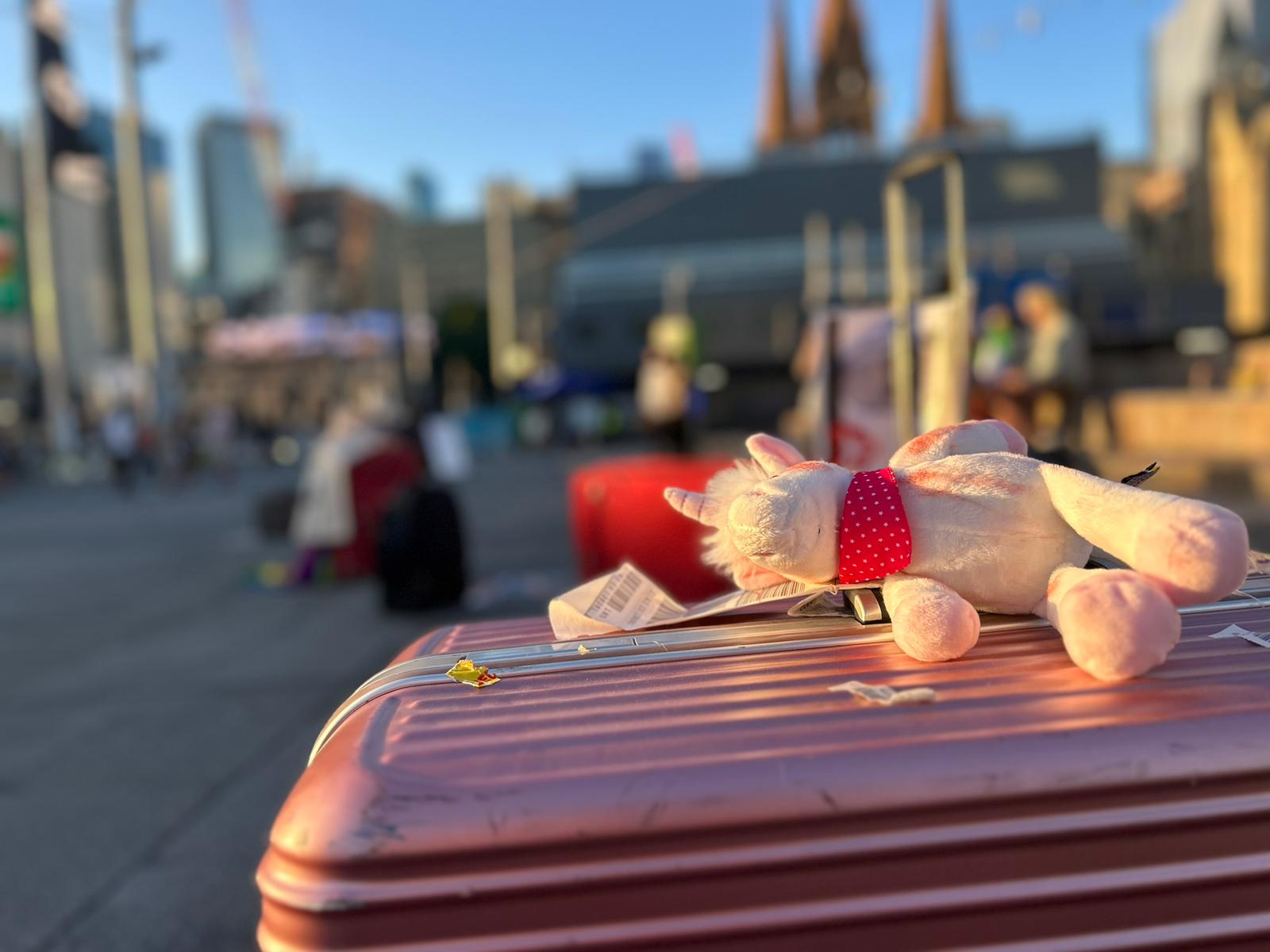 7ba6a375-0738-48f4-8dbd-fe0de5605f5e.jfif