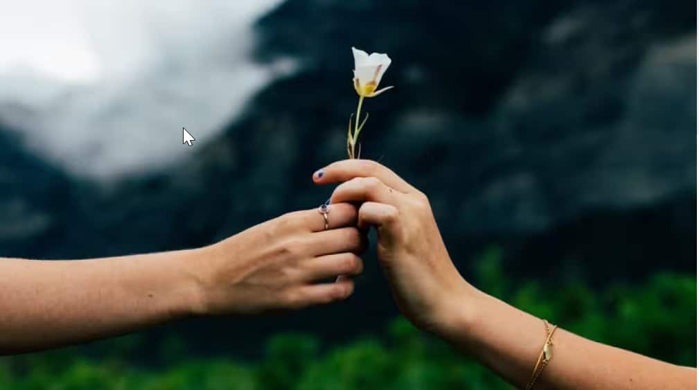 Random acts of kindness.png