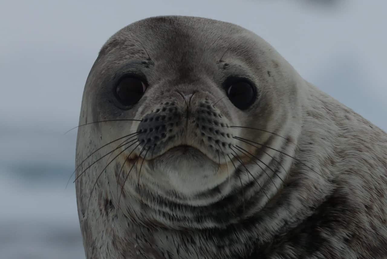 PHOTO-2023-03-23-16-02-00 3.jpg