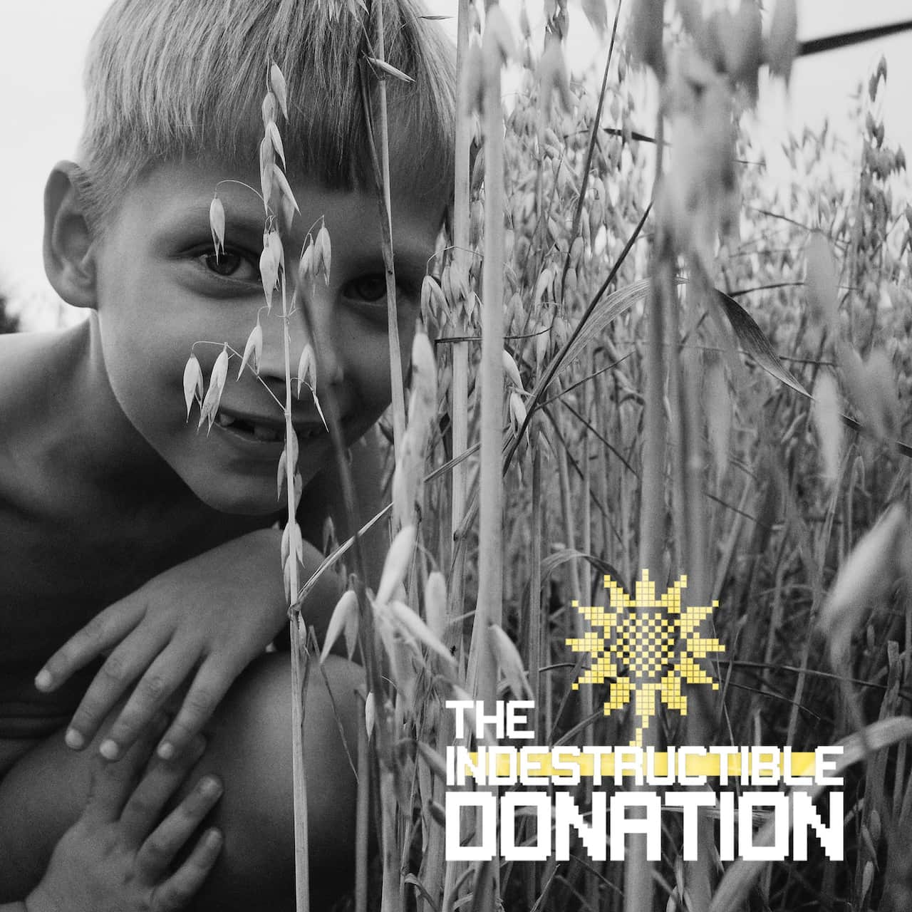 Photographs from before the war have been transformed into an "indestructible" NFT collection