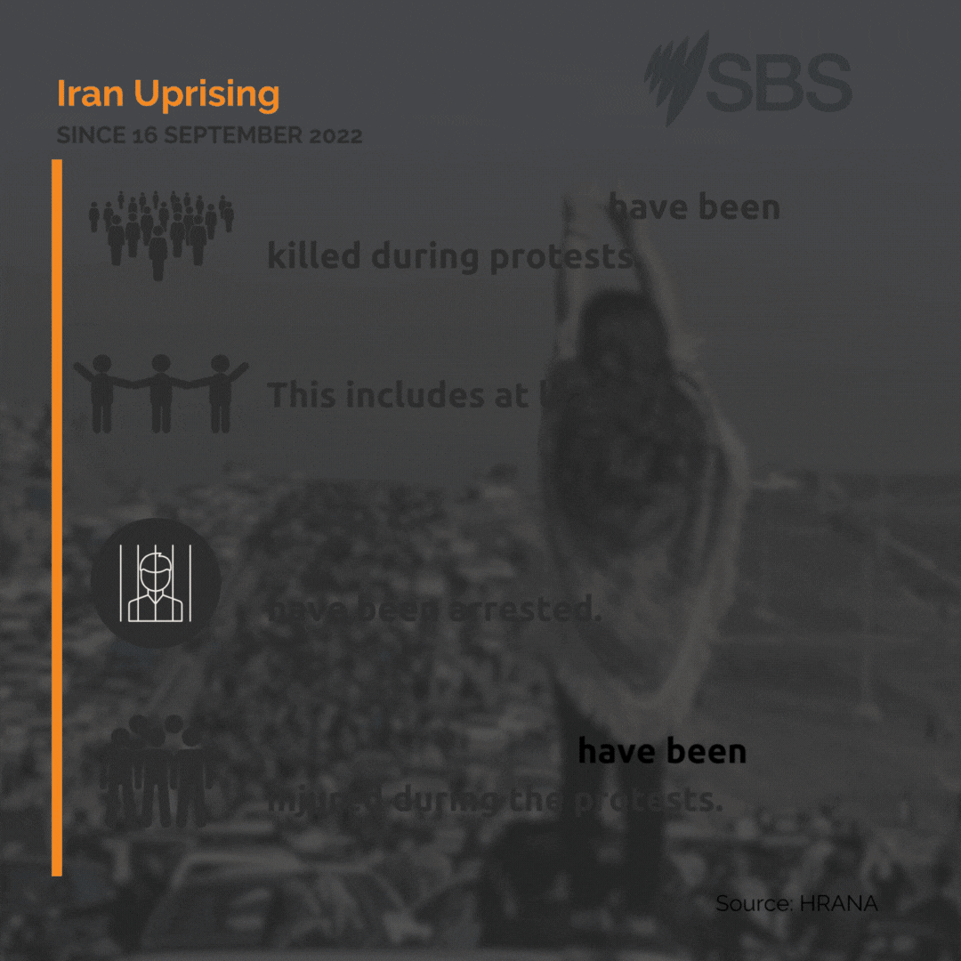 Iran Protests Infographic.gif