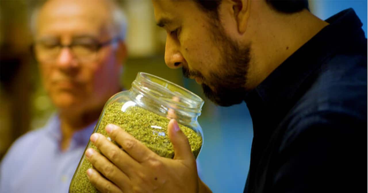 The Spice Trails: Latin America