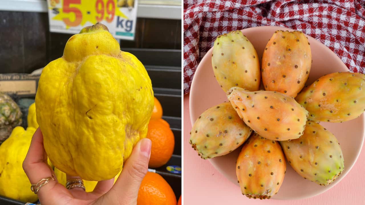 QUINCE and PRICKLY PEAR.png