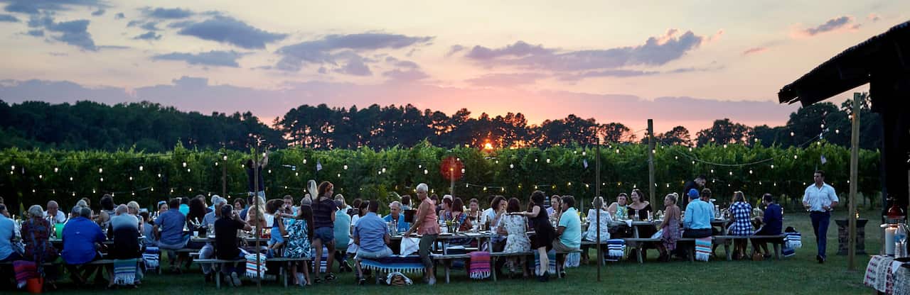 Horizontal festival .jpg