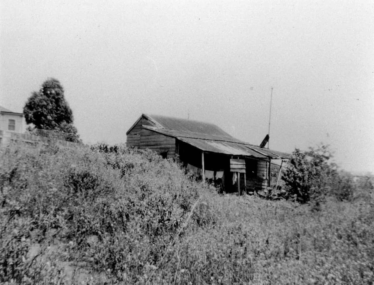 1950年代初，雪梨西北Ryde 