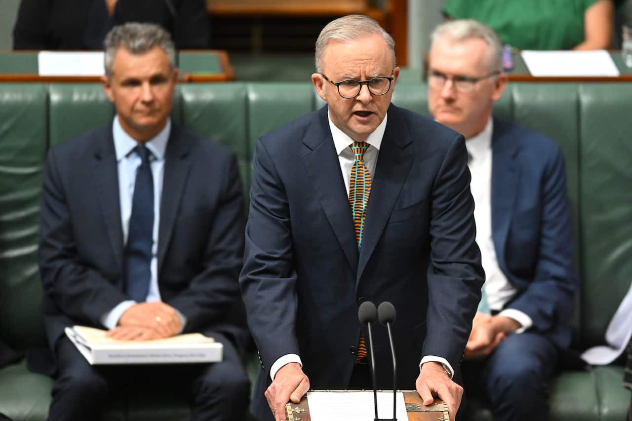 Anthony Albanese speaking in parliament