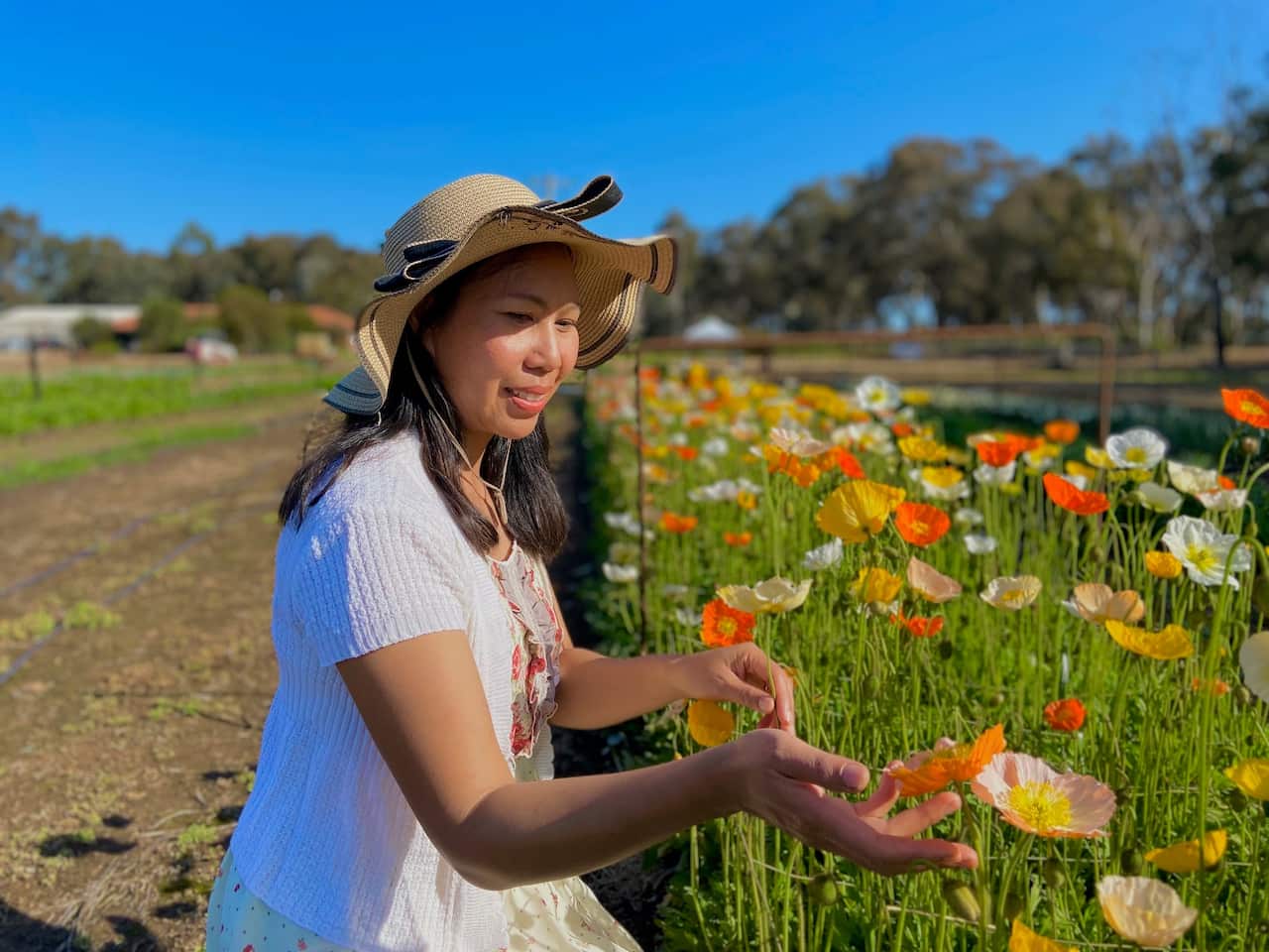 Pure Maiden Flower Farm SBS Thai 7.jpg