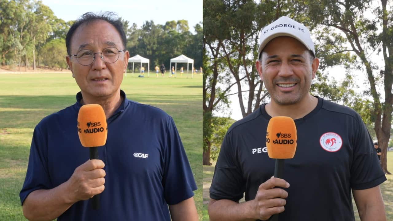 평창 시드니 유소년 축구대회 감독.png