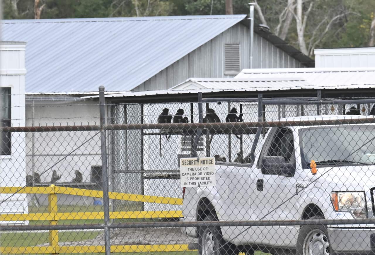 A cage full of monkeys and a white truck behind a large barbed wire fence.