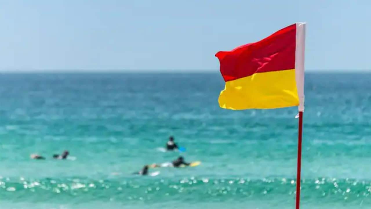 Red and yellow flag marking the limit of the safe swimming area on a beach under a blue summer sky.jpg