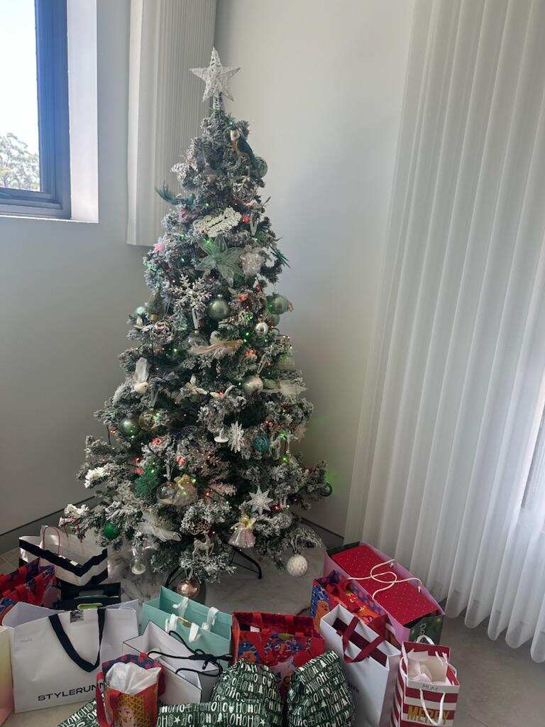 christmas tree.jpeg