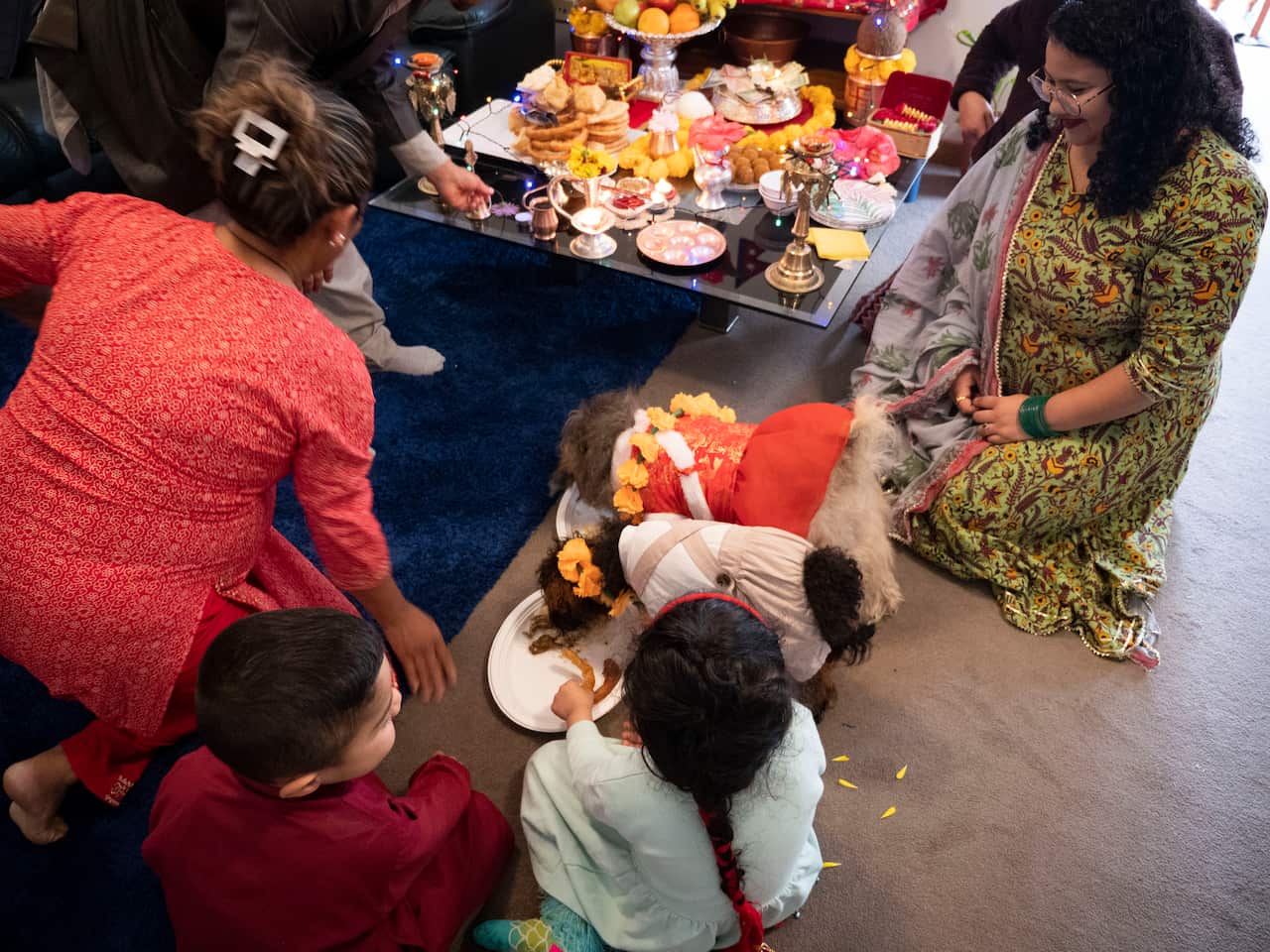A family and dogs around a table
