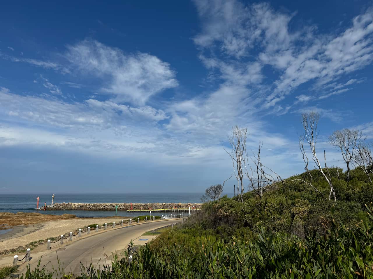 A jetty with burnt trees near it.