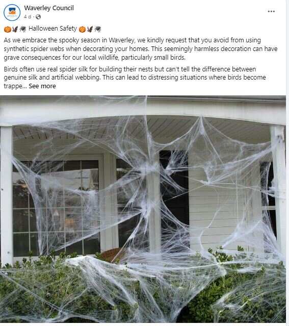 Waverley Council warning.JPG