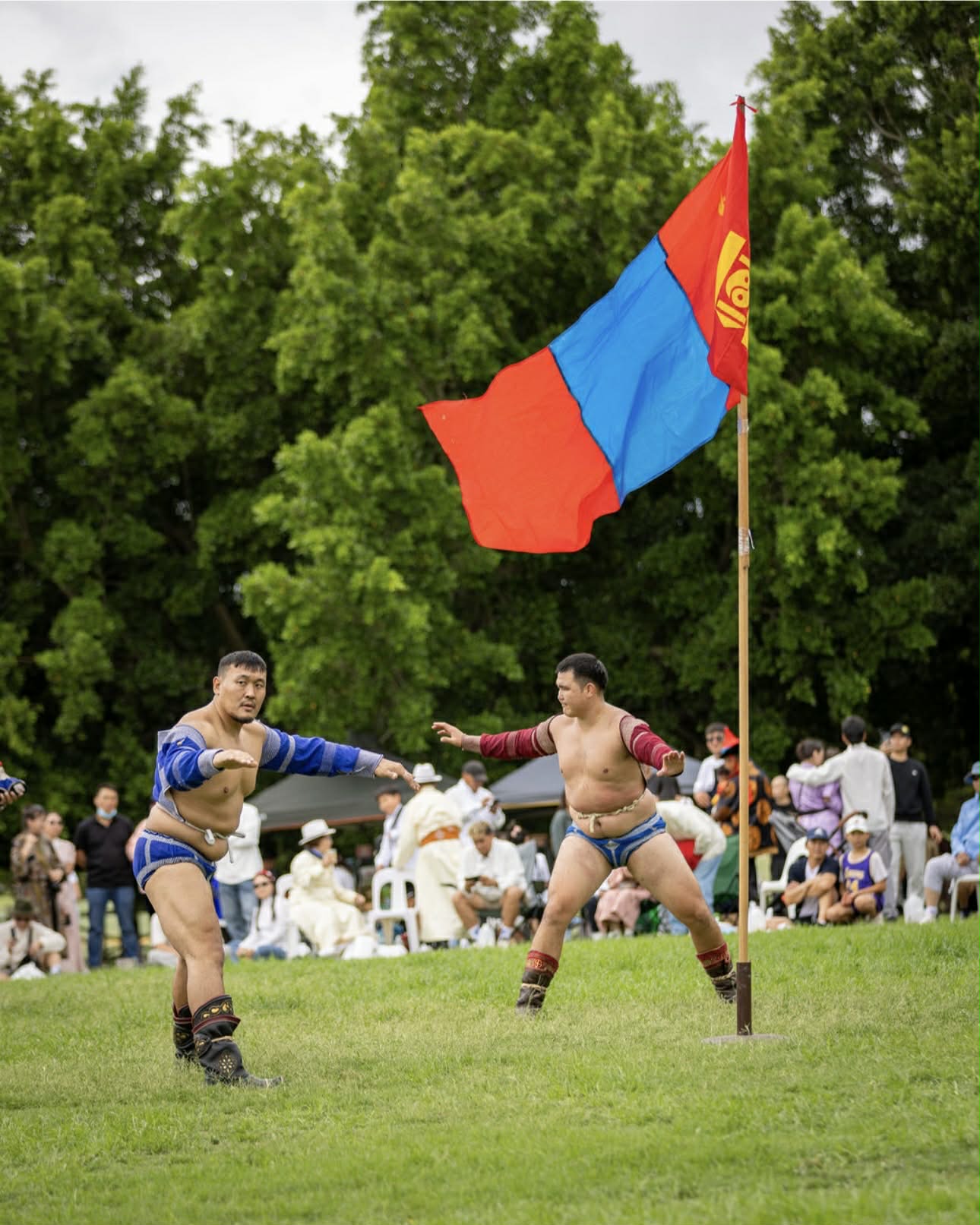 0c67c456-383b-423c-afd6-2092a1a33765.jfif