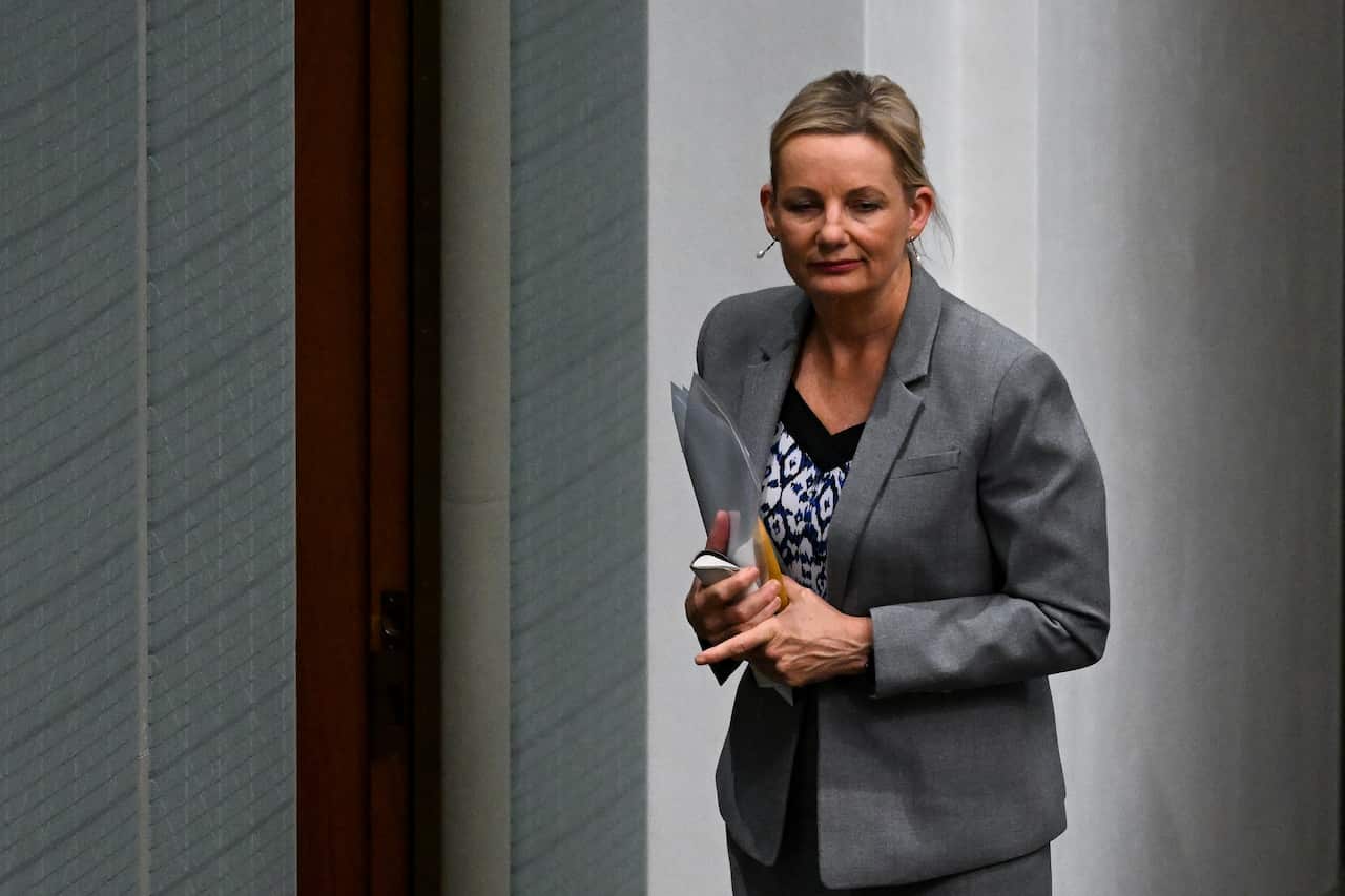 Sussan Ley in a grey suit