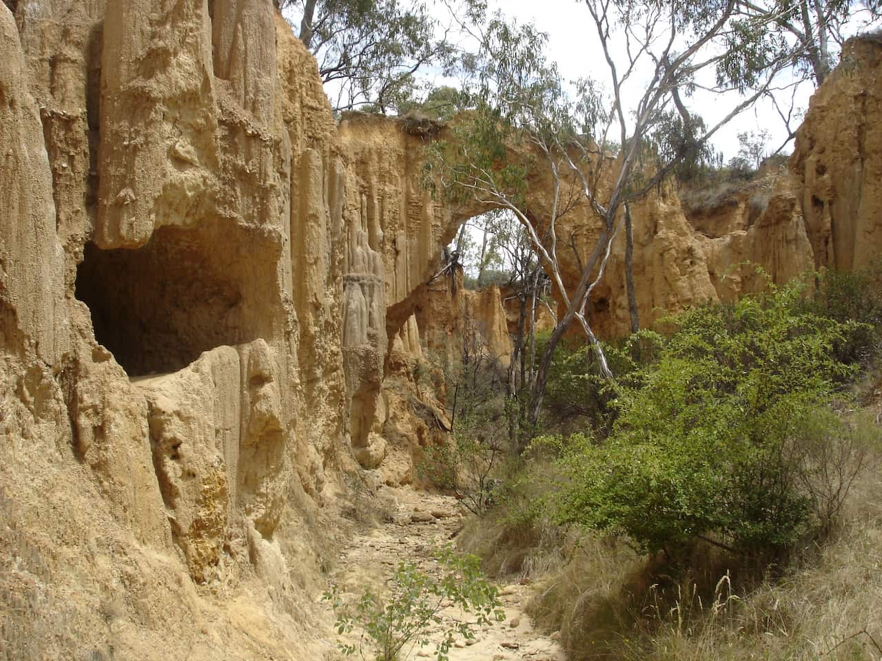 1-2013-01-13 华人淘金的黄金谷.JPG