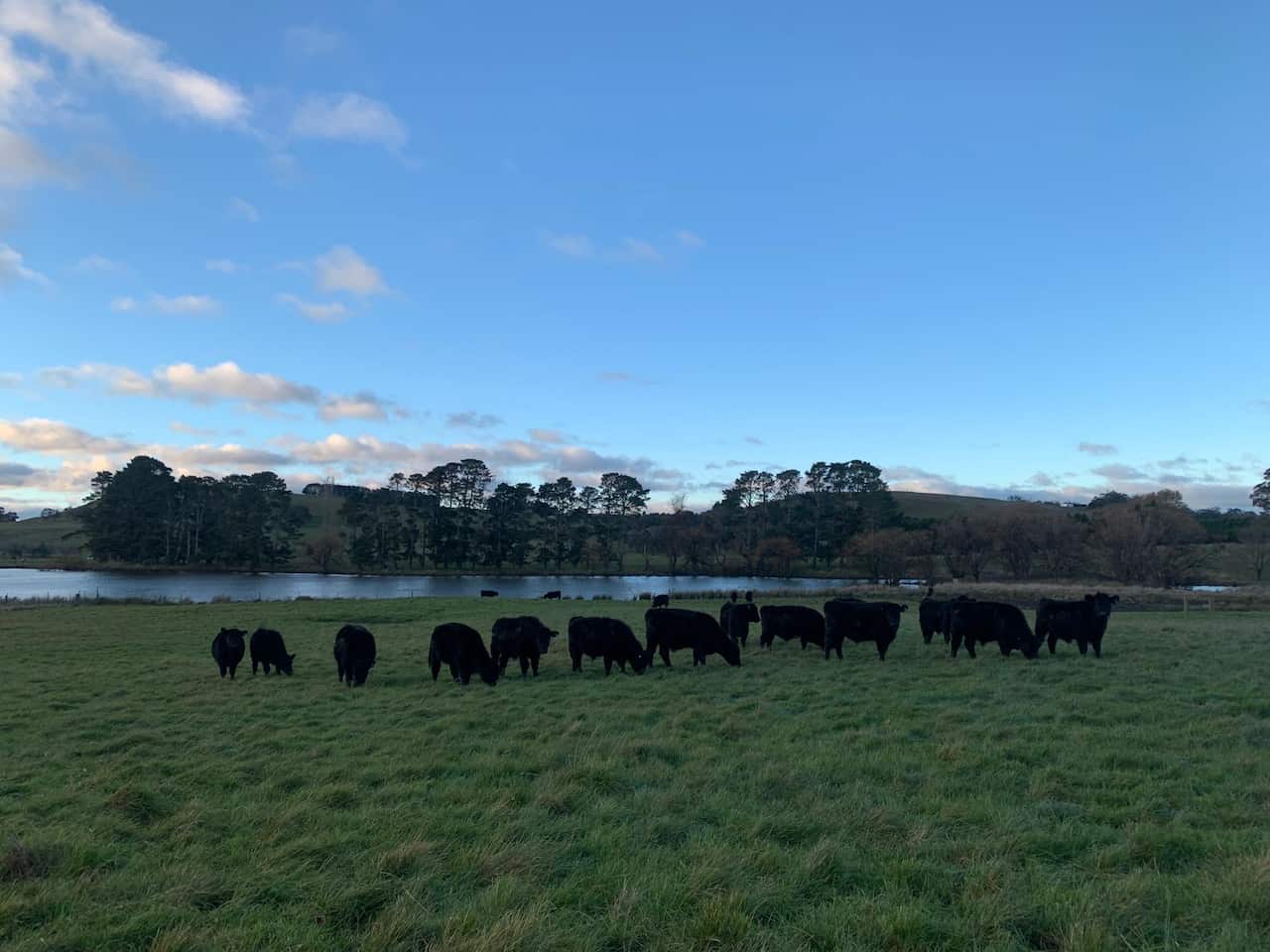 WhatsApp Image 2022-11-29 at 20.37.00.jpeg