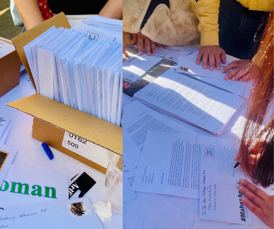 Untitled design-2.png