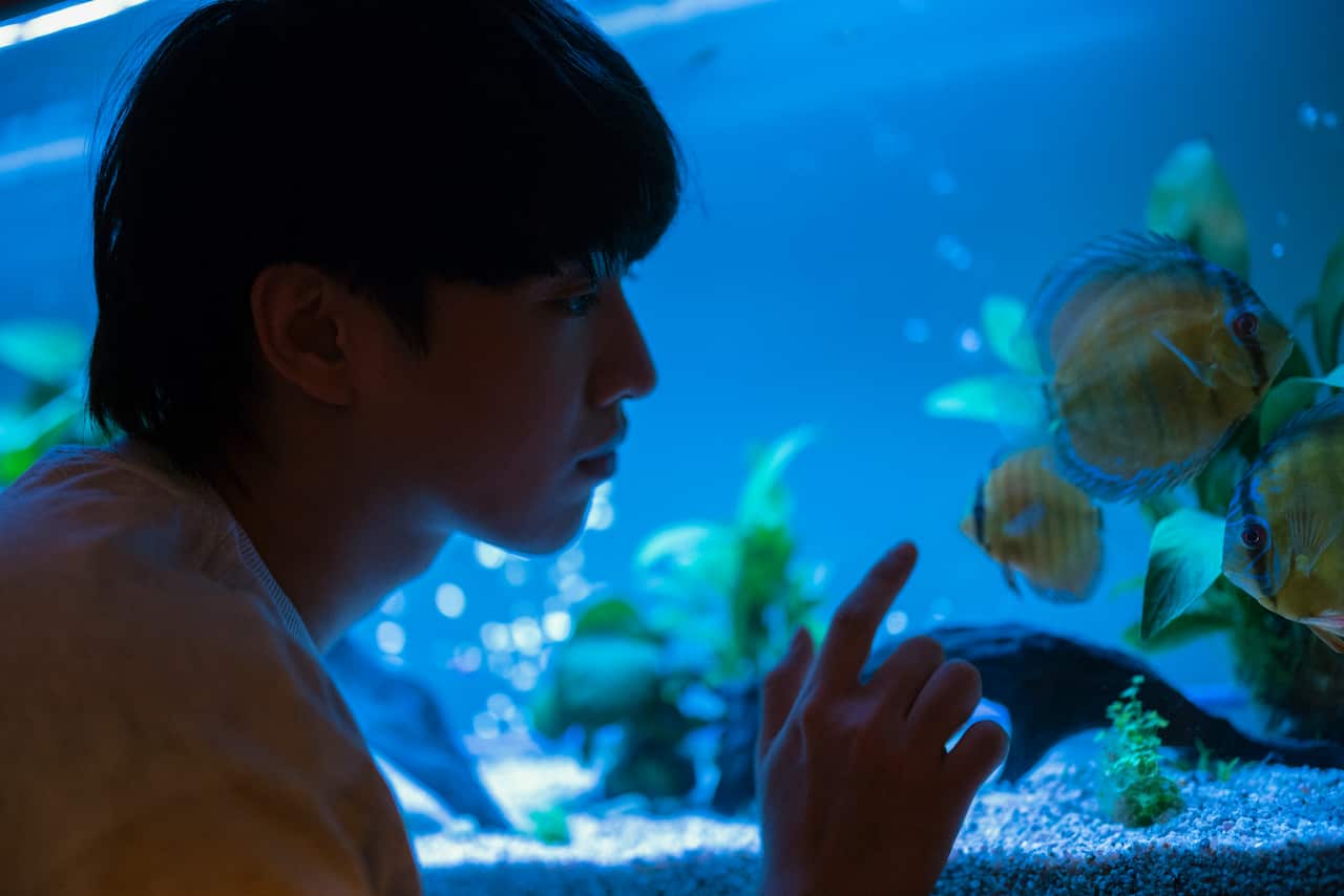 彭導認為姜濤阿Jer是最好的配搭