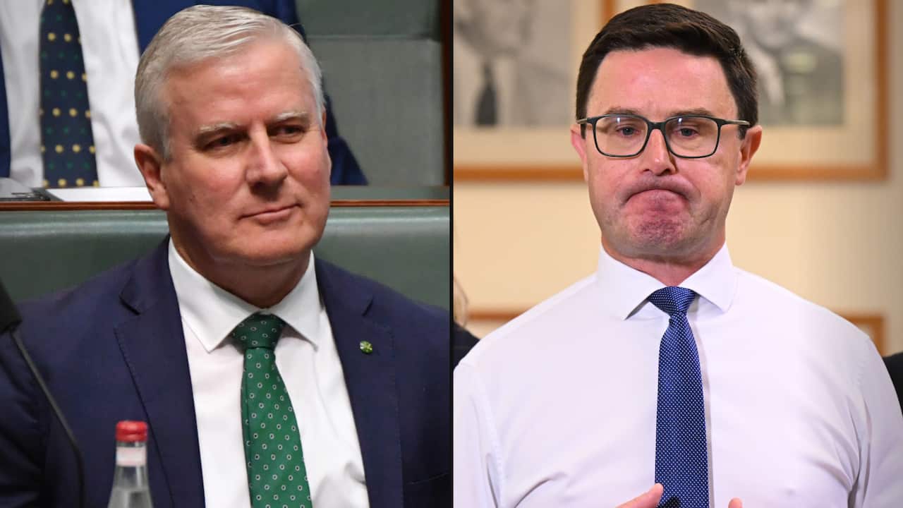 A split image. On the left is Nationals MP Michael McCormack. On the right is Nationals leader David Littleproud.