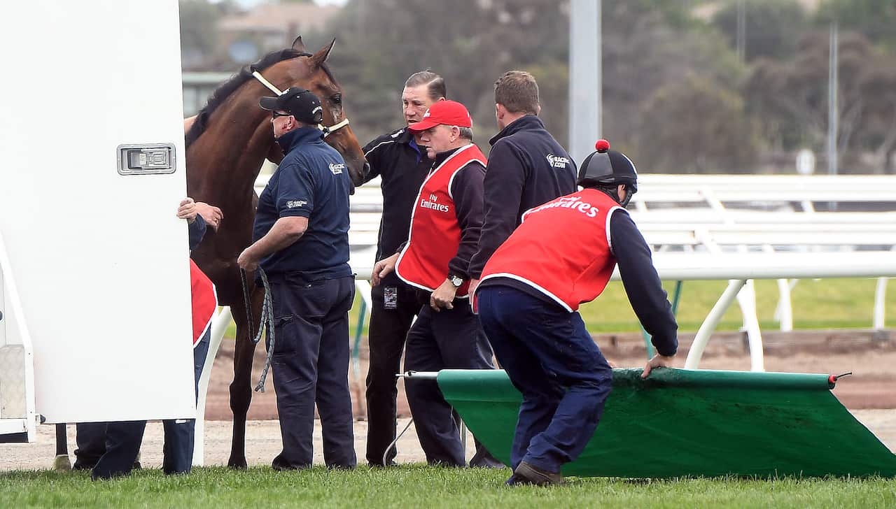 RACING MELBOURNE CUP