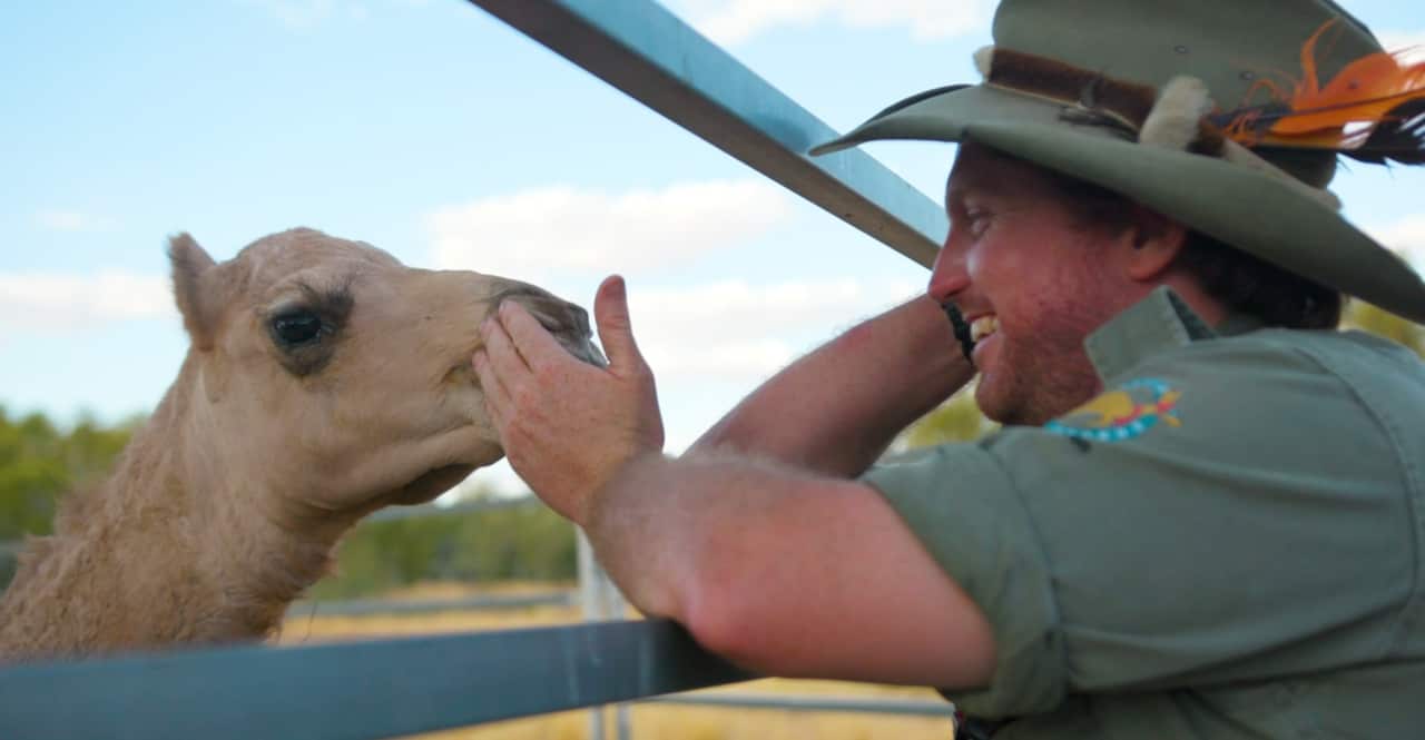Man pets a camel.