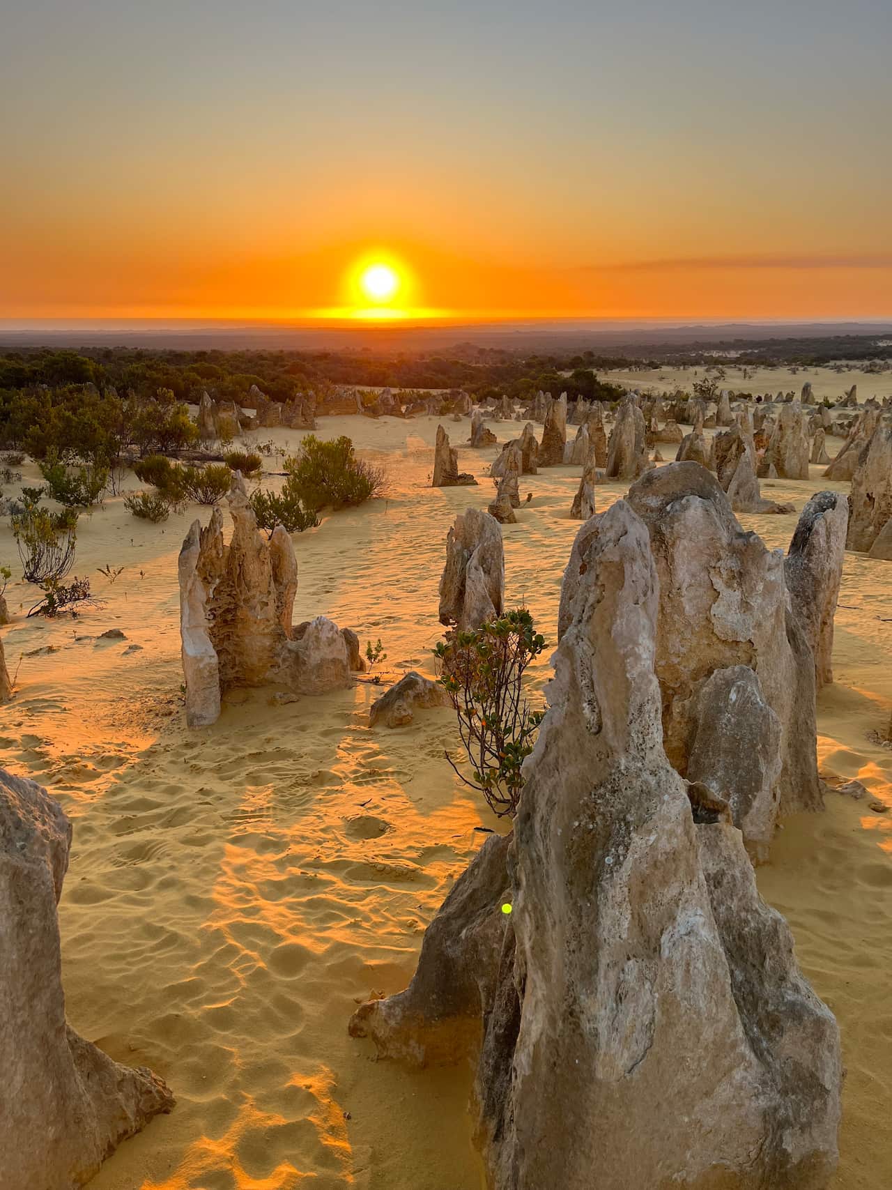 Sunset over the Pinnacles Desert, near Cervantes.