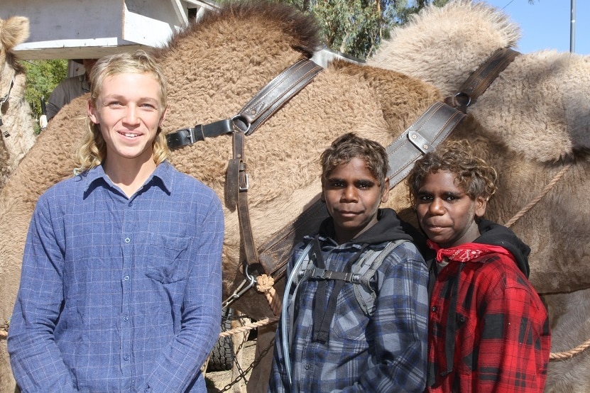 a4c532a6b91383cfb84bead5677ca2db.jfif