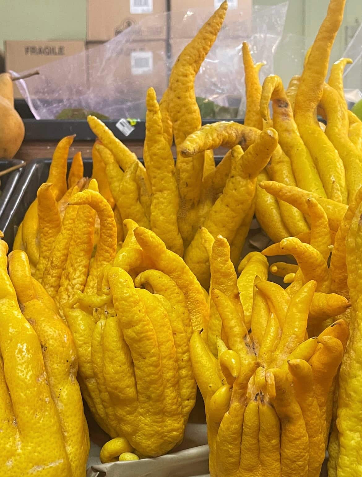 Buddha's hand.jpeg