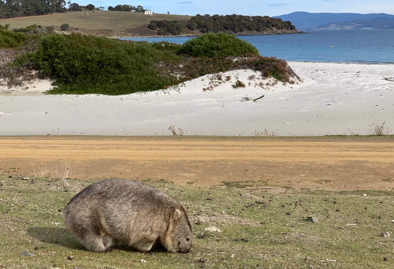 TRAVEL TASMANIA EAST COAST