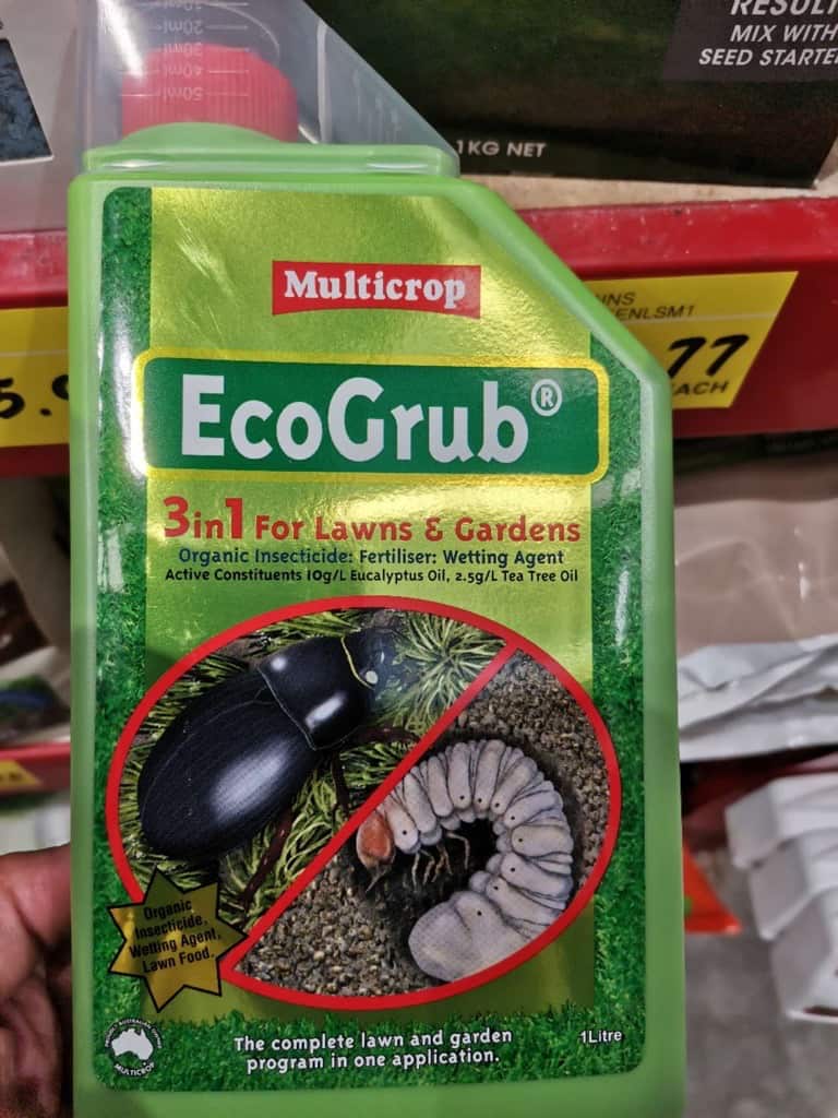 MicrosoftTeams-image (1).png