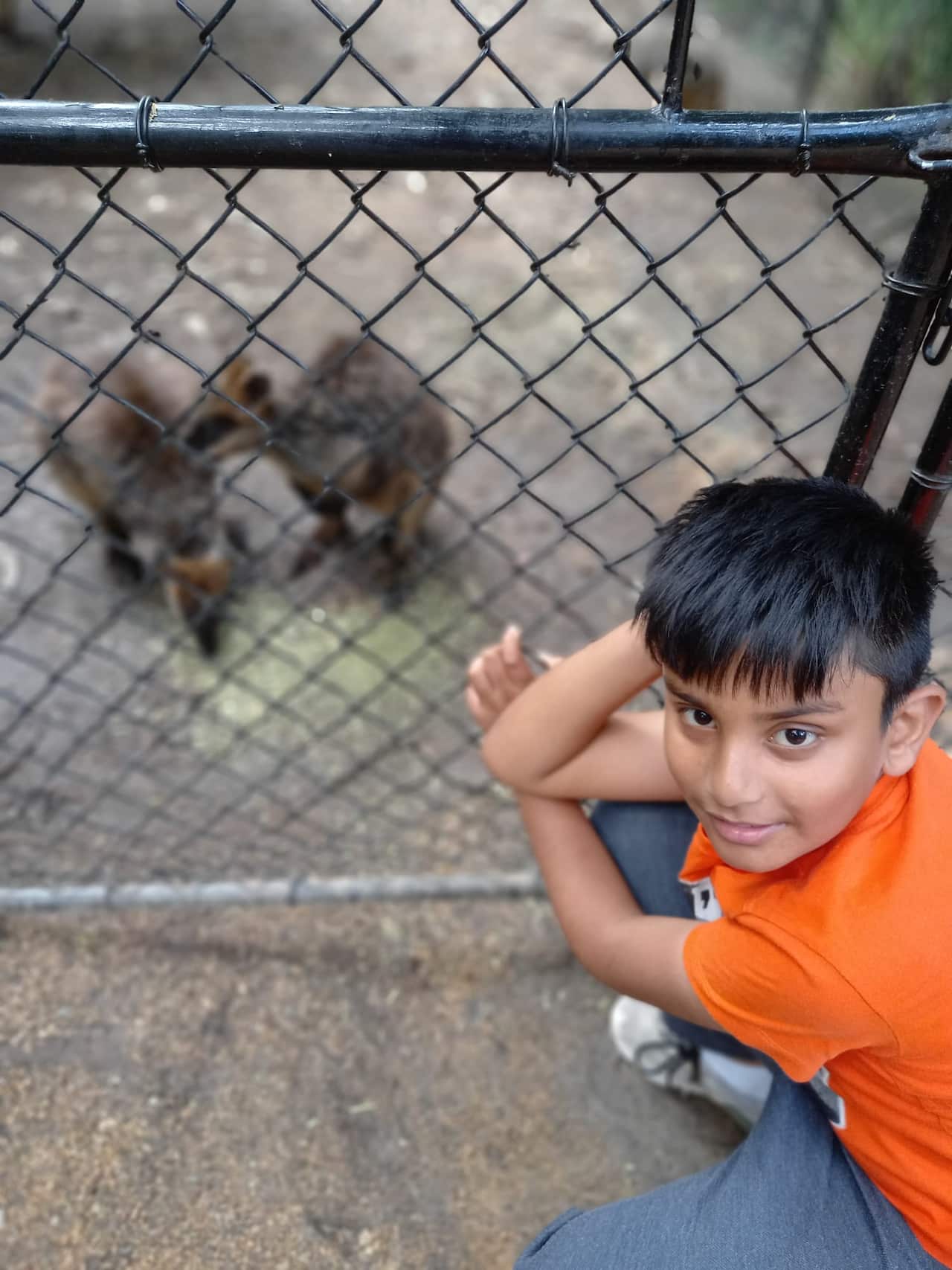 WhatsApp Image 2022-12-01 at 12.30.21 PM.jpeg