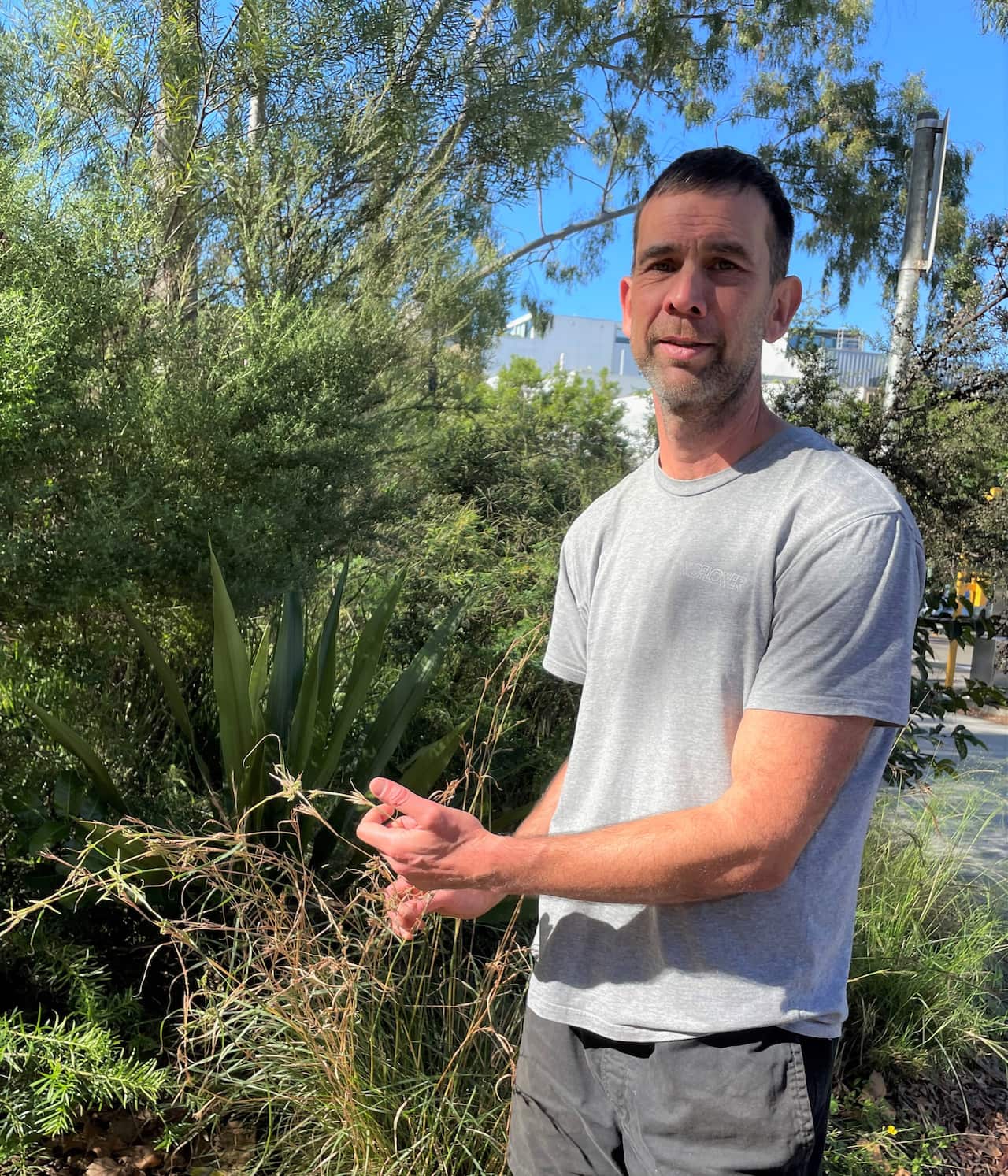 A man in a grey t-shirt stands in bushland gardens.