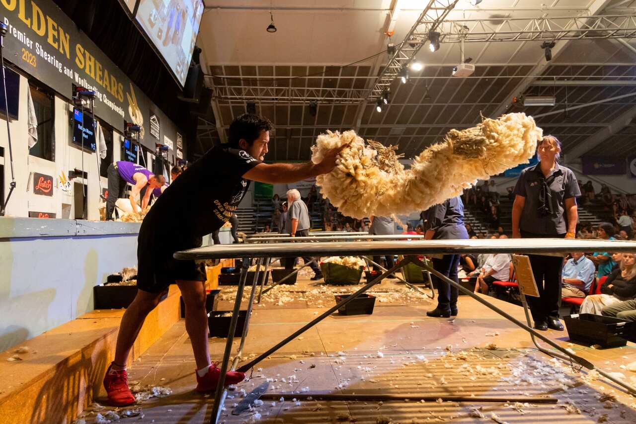 NZEALAND-SHEEP-SHEARING-COMPETITION