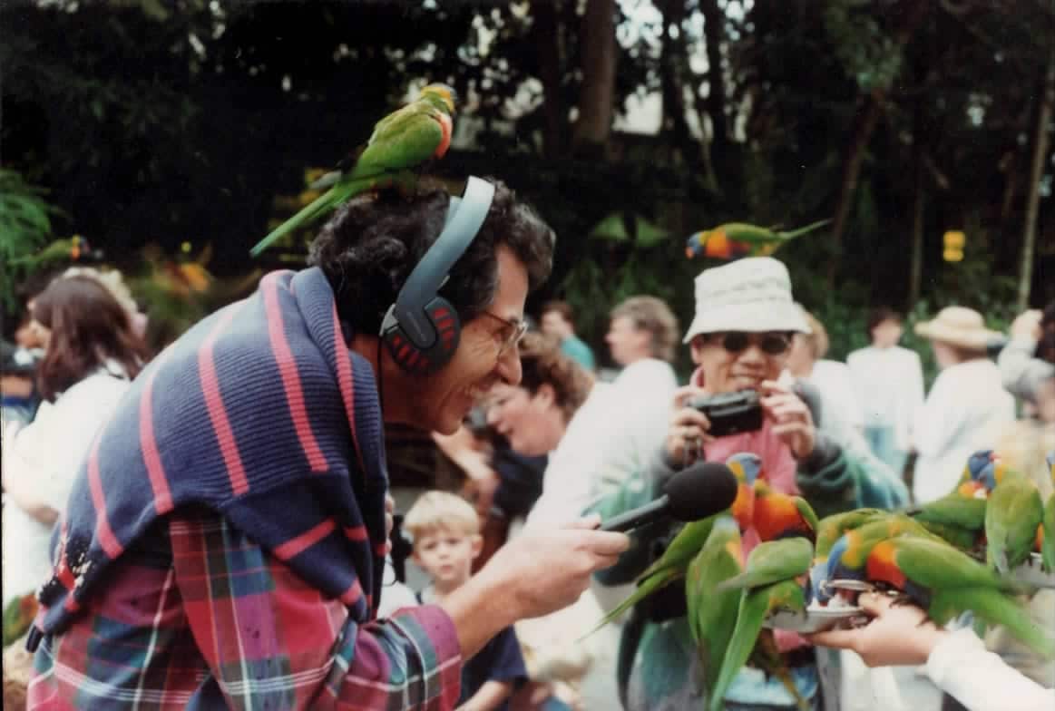 A man at a wildlife park holding a microphone in front of some lorikeets that are eating food from a plate being held by another person.