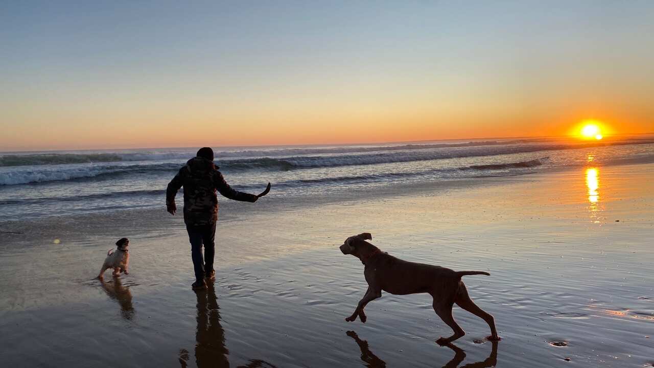 Diana's dream life.jpeg