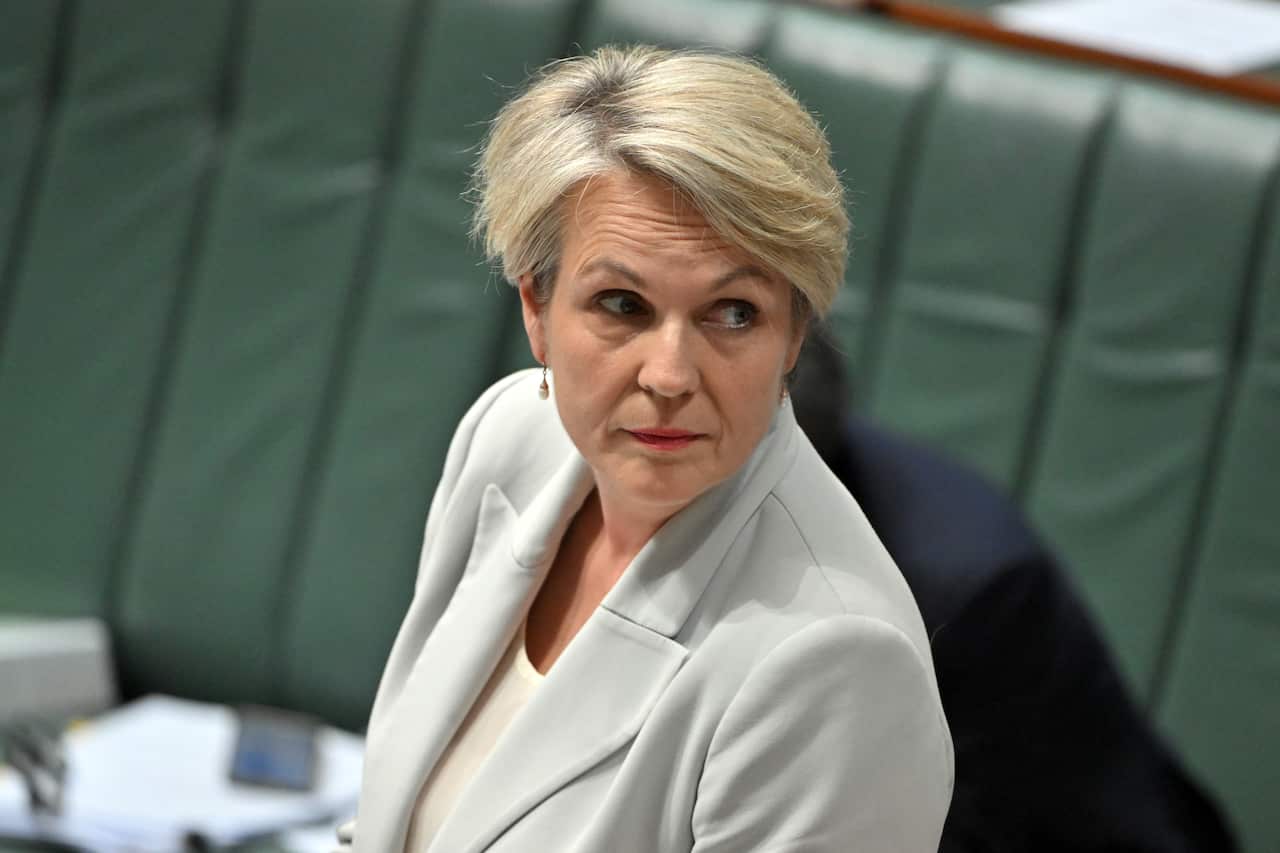 A woman in a grey blazer standing up in front of green benches