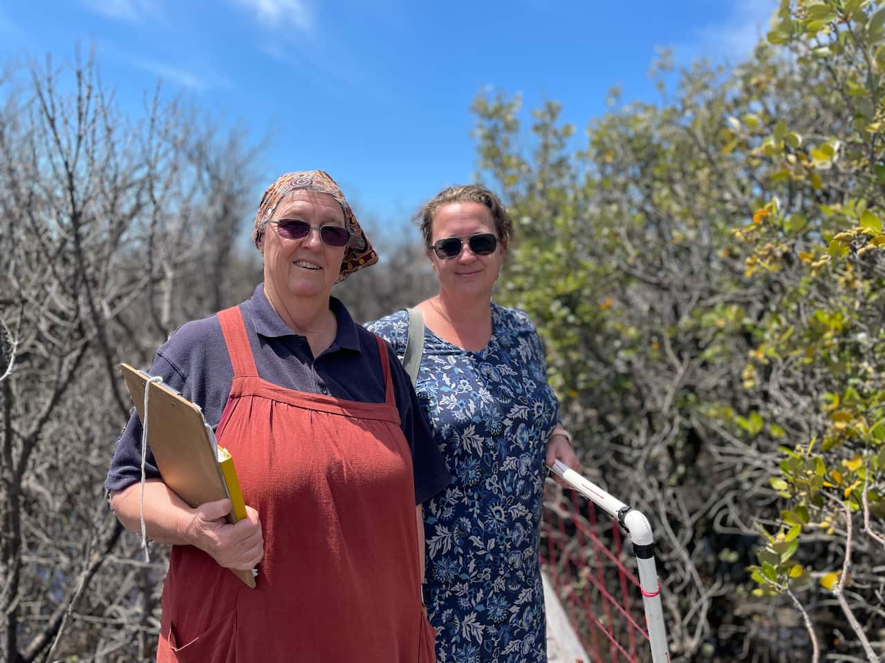 A woman in red apron holding a clipboard accompanied by a younger woman in a blue printed dress. Both are wearing dark glasses and standing in the bush