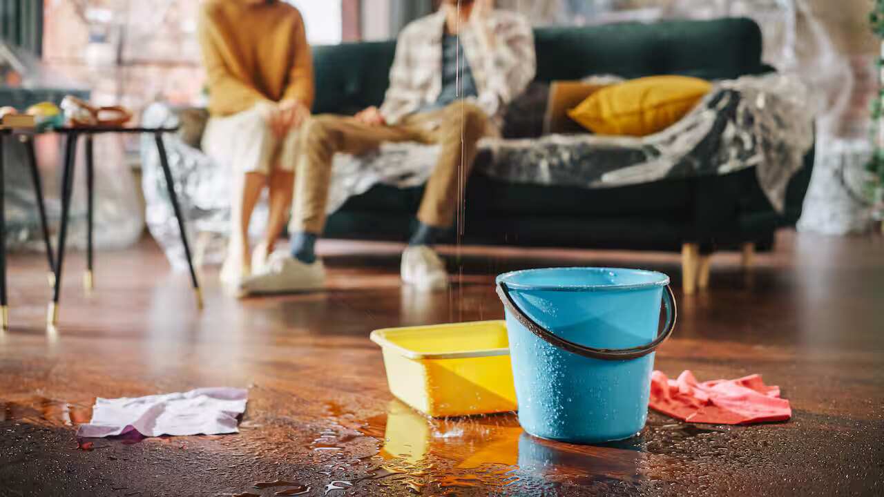 renters-2.jpg
