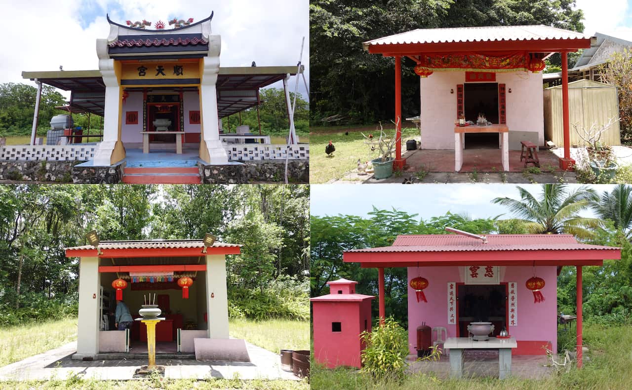 Untitled design (5).png