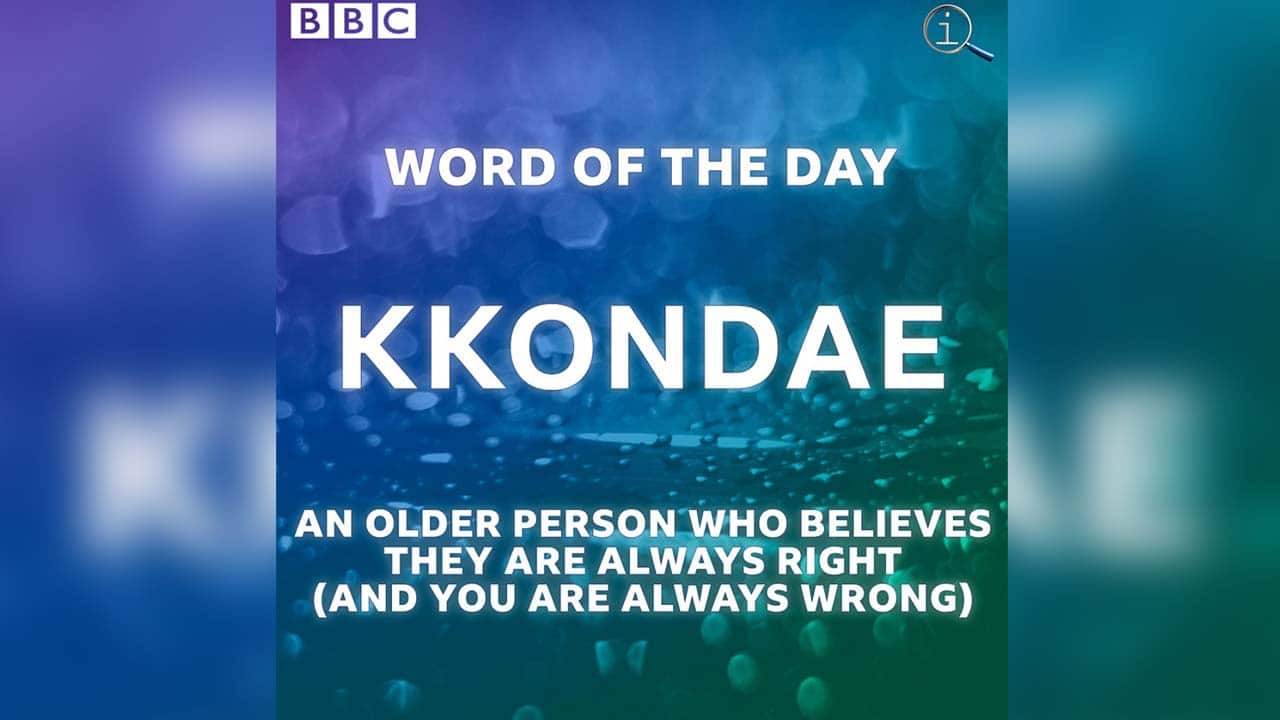 201909250800067606_t 오늘의 단어.jpg