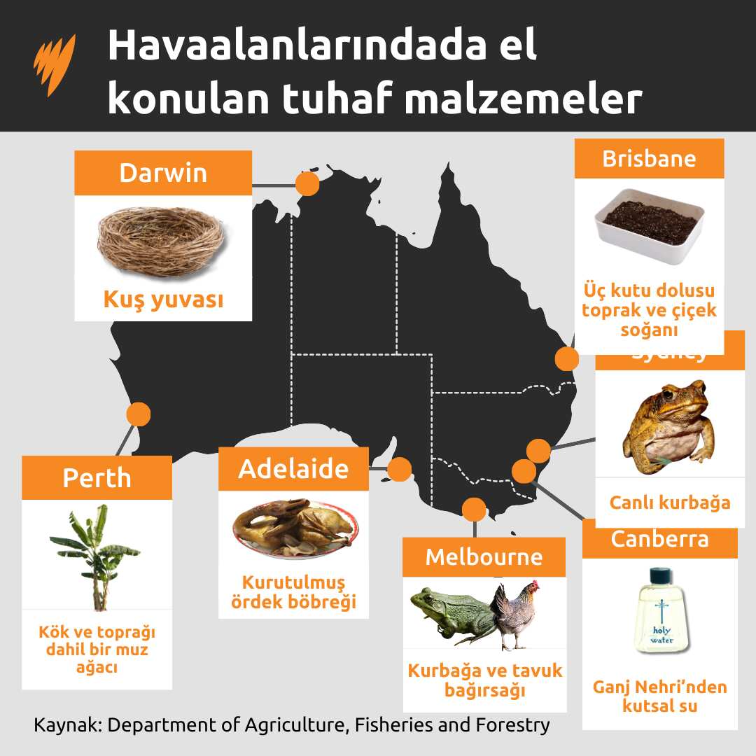 WEIRD ITEMS SEIZED GFX 1.png