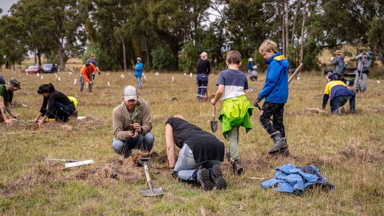 A community tree-planting day - Image Birdlife Australia.jpg