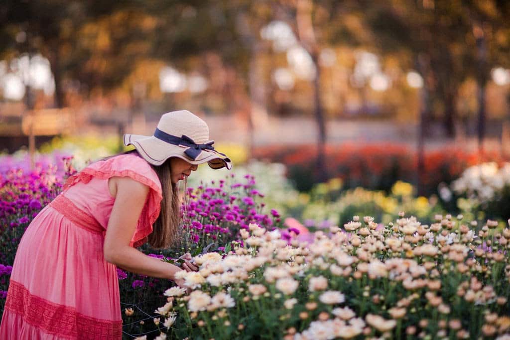 Pure Maiden Flower Farm Belinda Jordaan 2.jpg