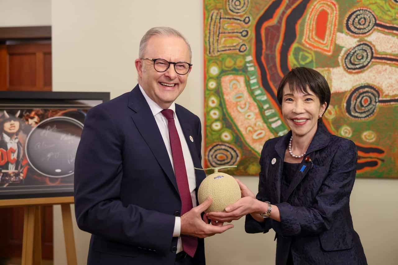 Japanese Prime Minister Sanae Takaichi presents a crown melon to Prime Minister Anthony Albanese during a meeting.