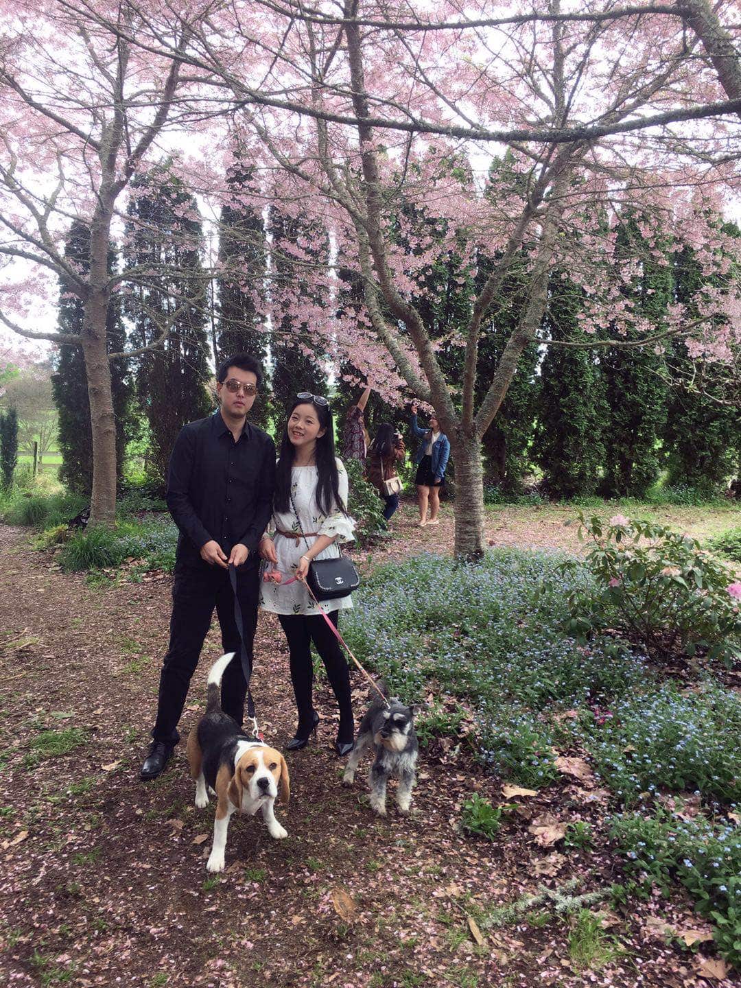 夫妇把两只狗狗也视作家人.jpeg