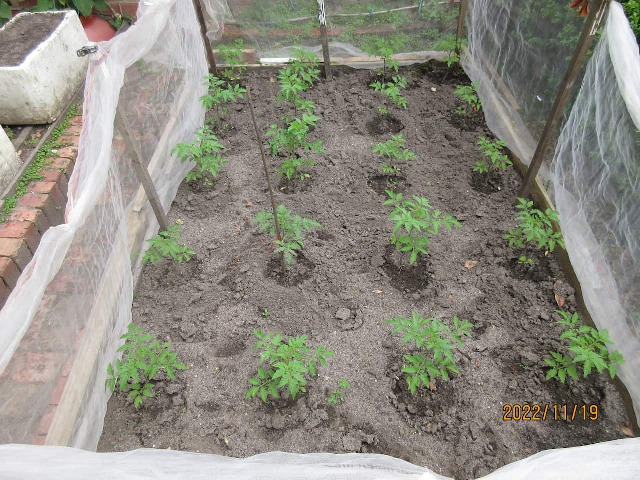 MicrosoftTeams-image (1).png